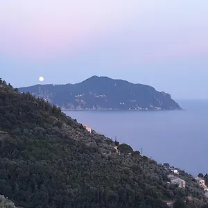 Casa Bubo Apartment Bogliasco